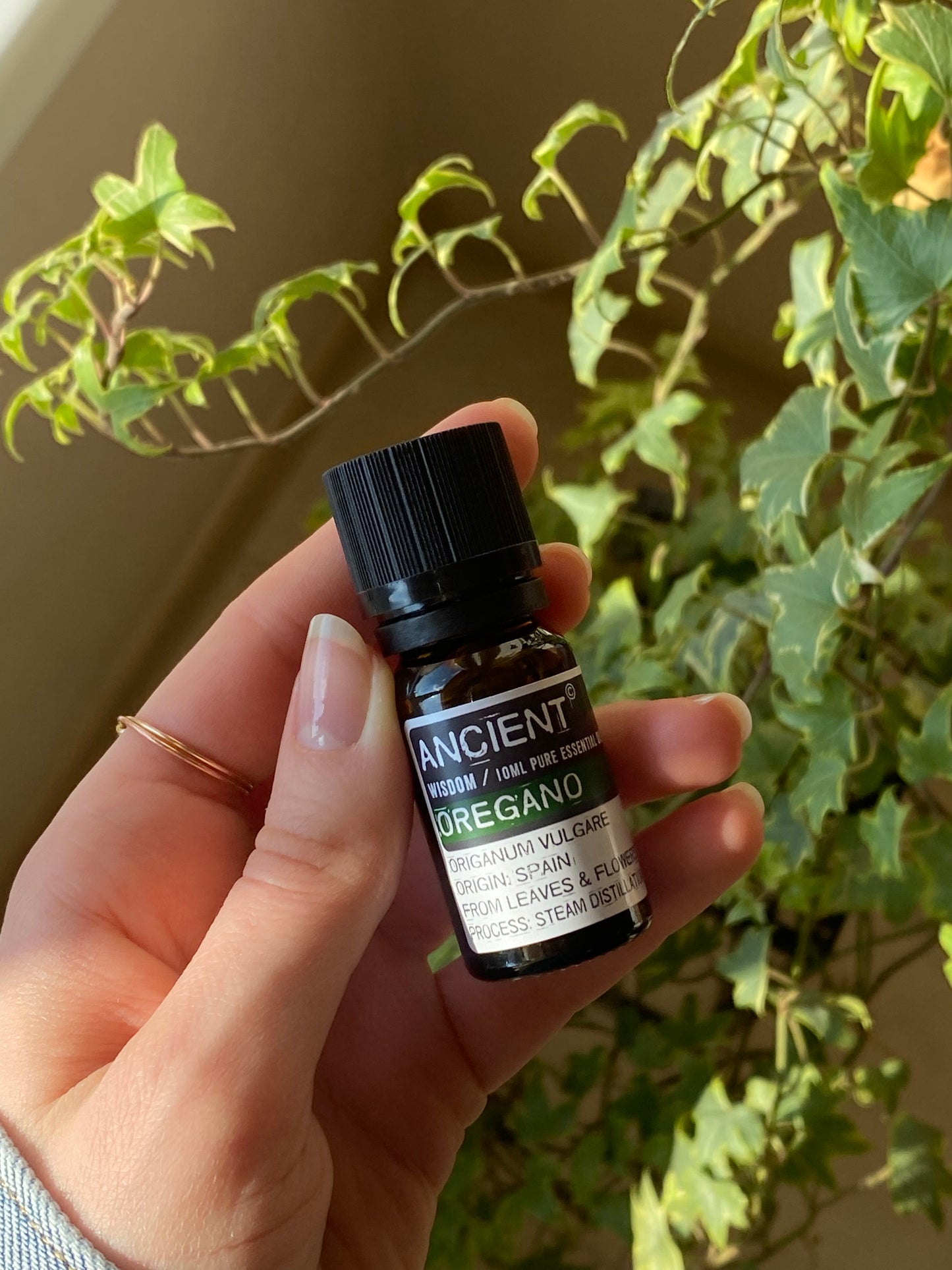 Raudonėlio eterinis aliejus