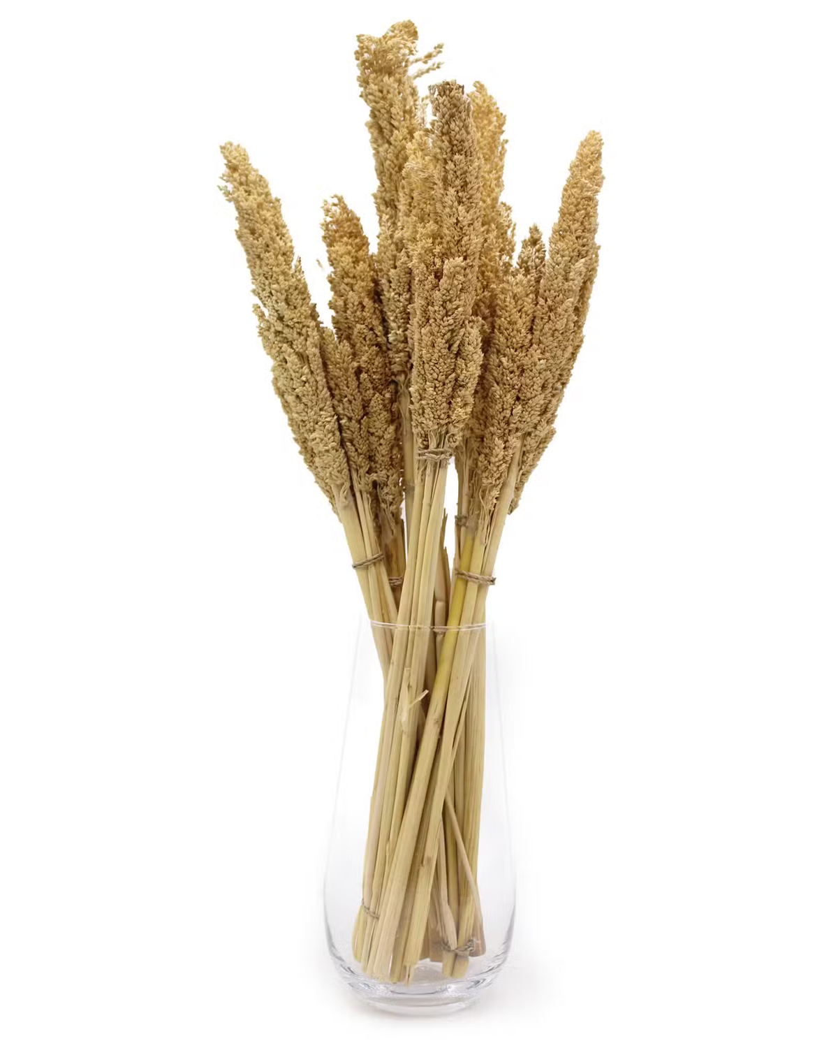 Natūralios Sorgo dekoratyvinės žolės