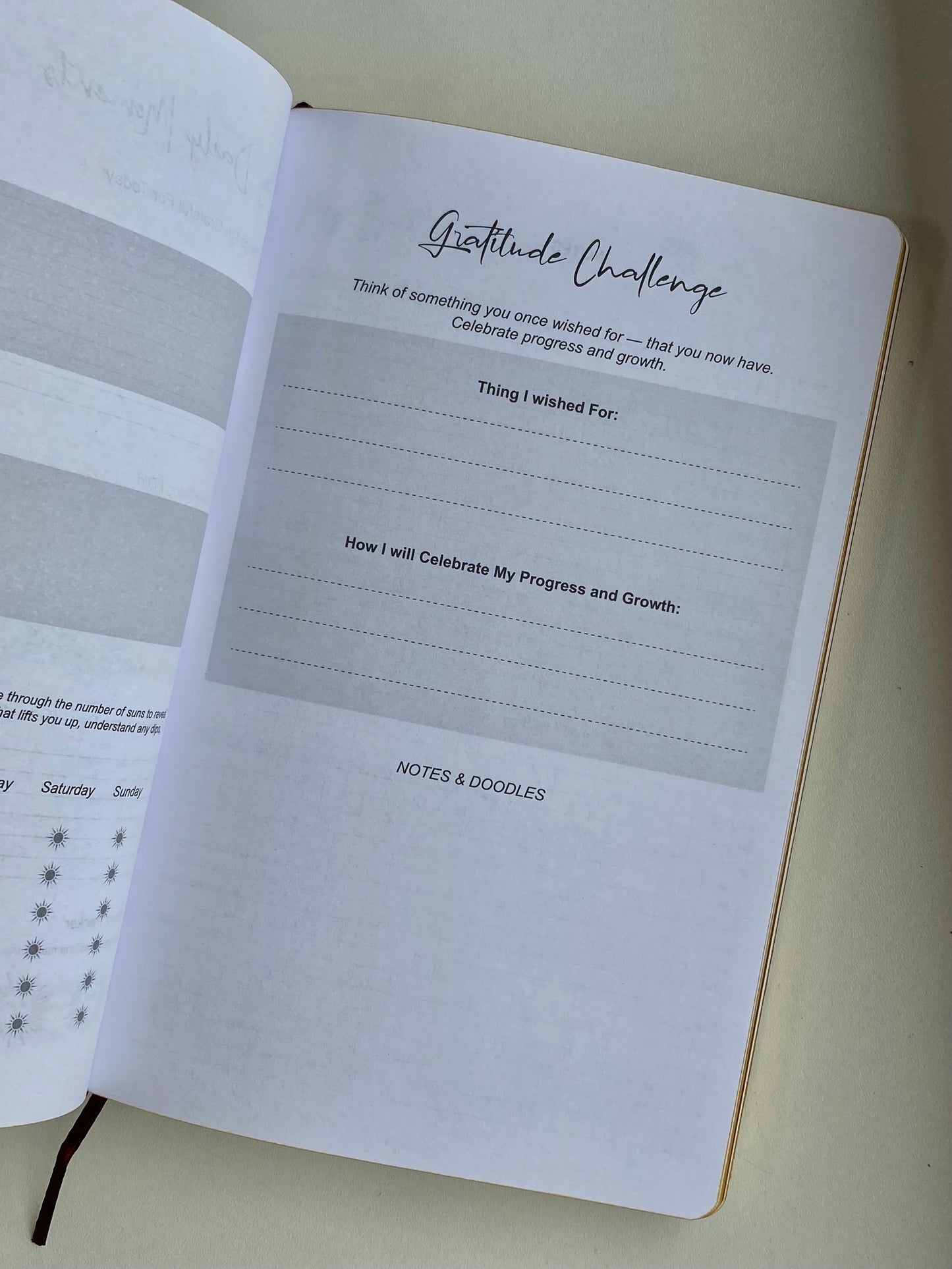 Dėkingumo dienoraštis "My days are full of Sun"