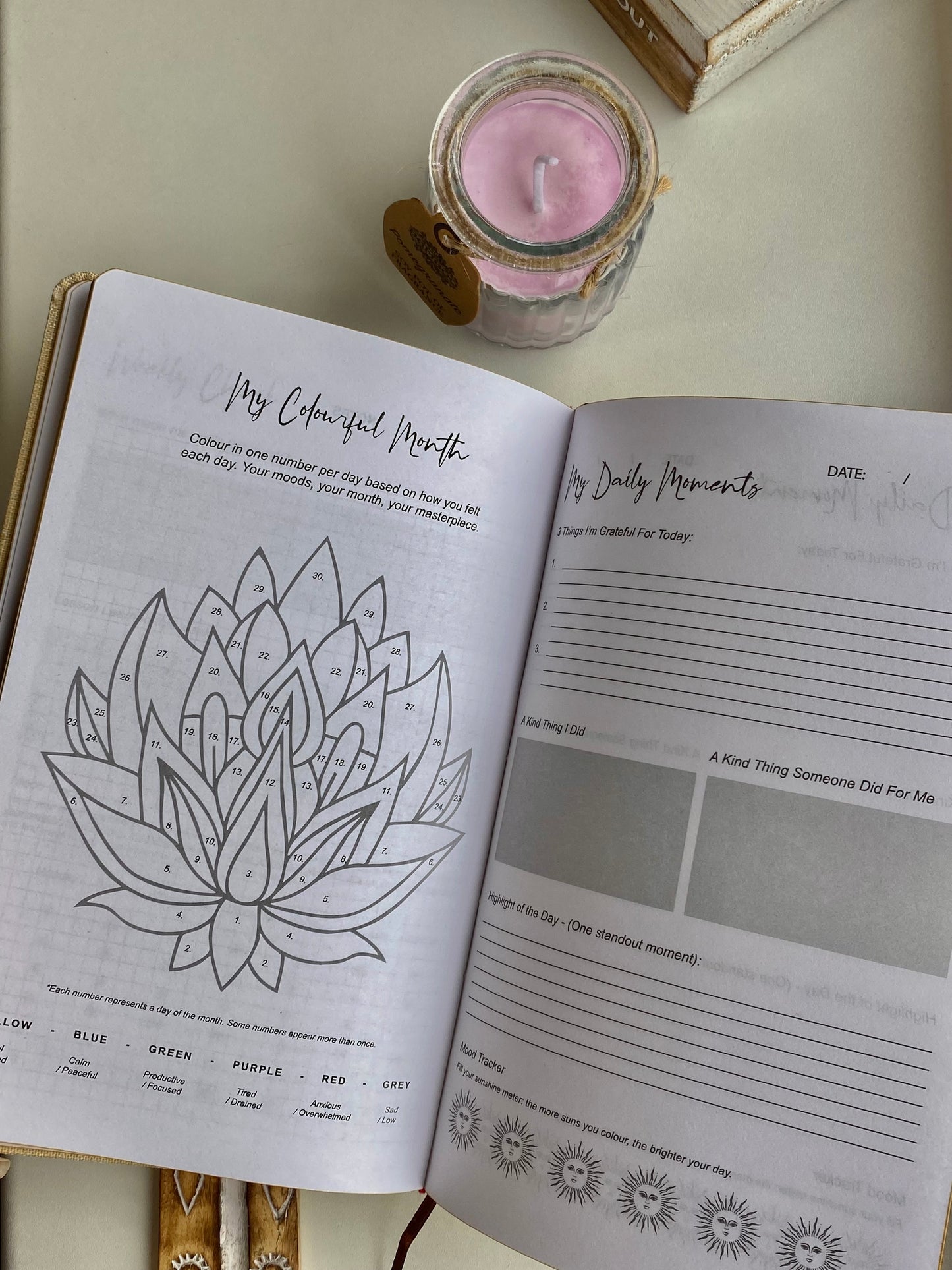 Dėkingumo dienoraštis "My days are full of Sun"